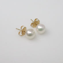 Load image into Gallery viewer, Akoya Pearl Studs
